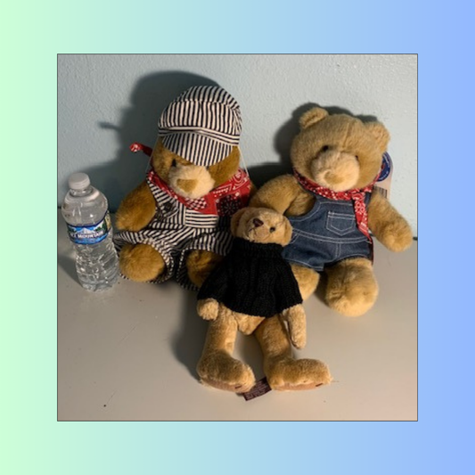 Lot 047: Bear Plushies - set of 3